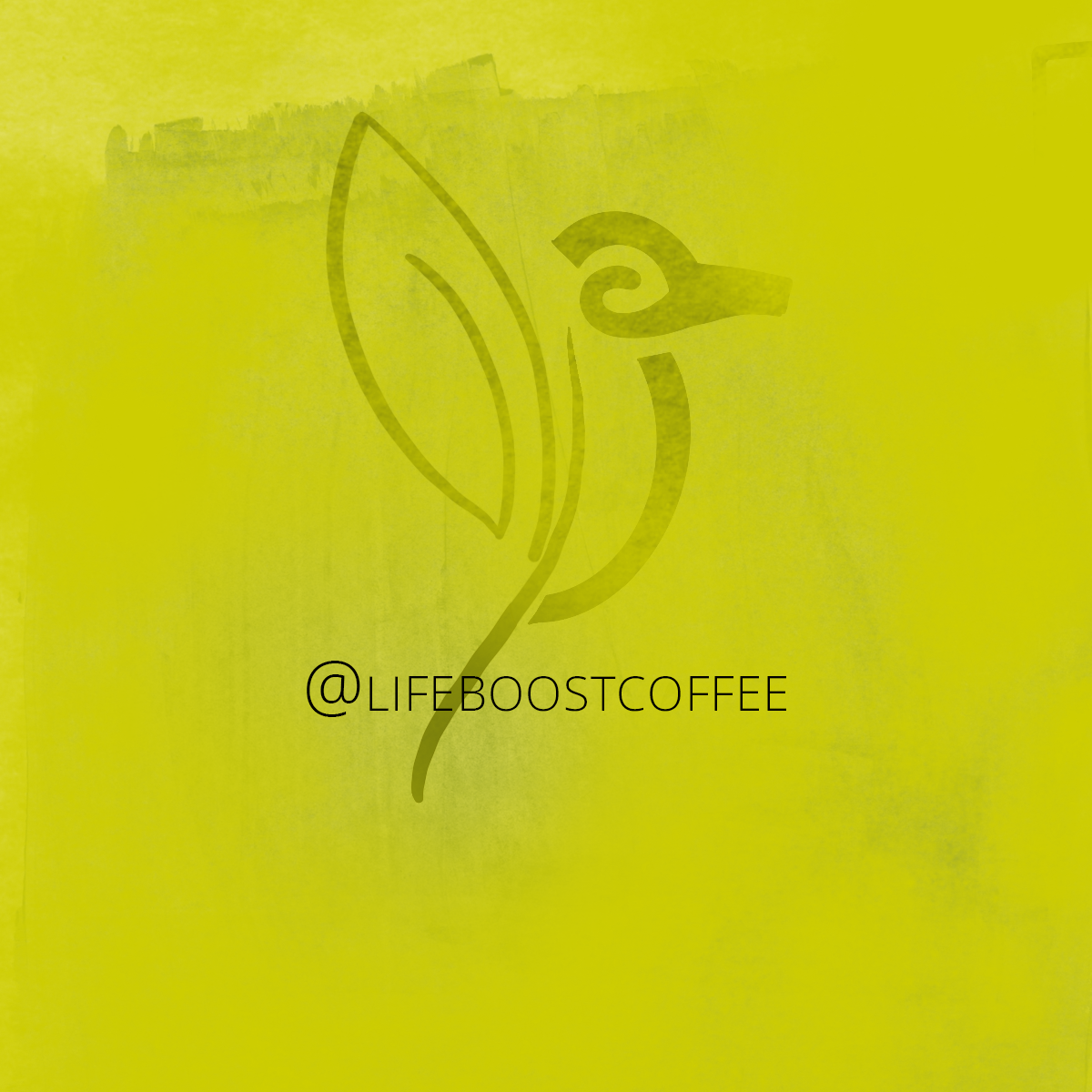lifeboost coffee