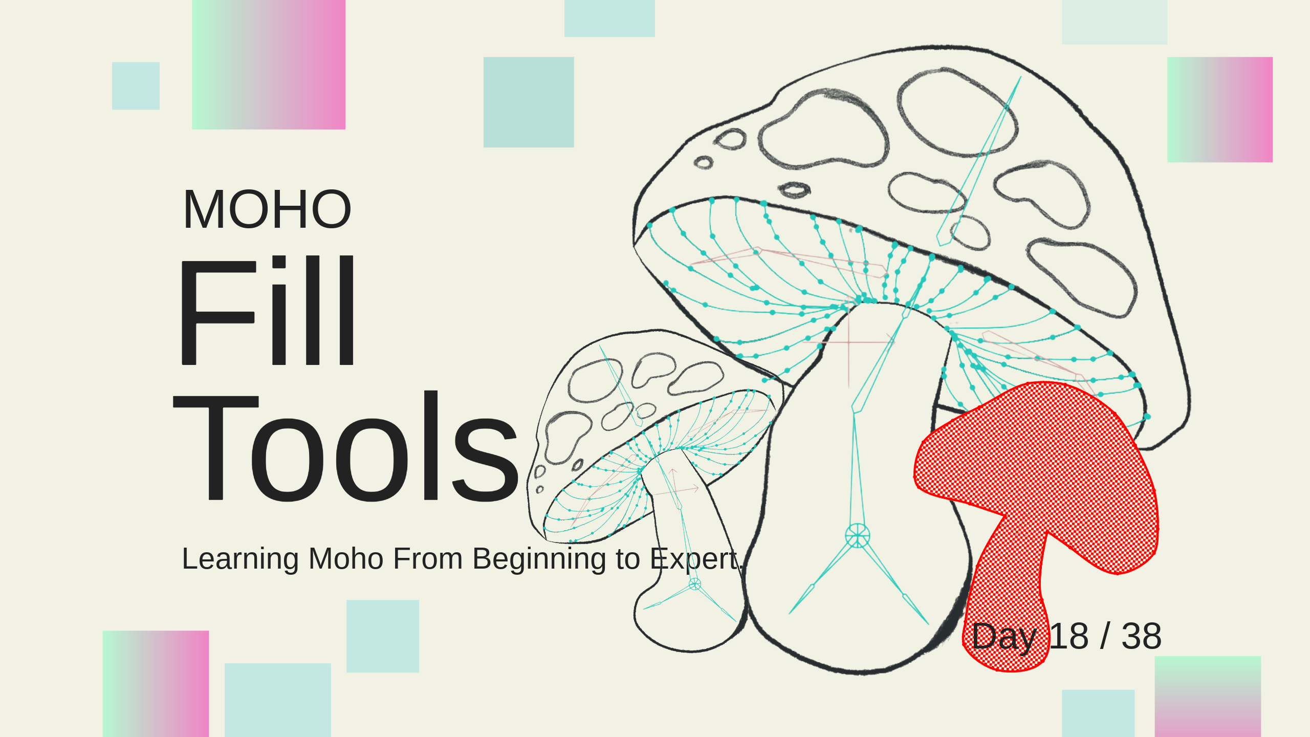 Part 18/38. Fill Tools. Learning Moho from beginner to expert.
